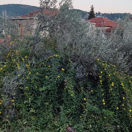 αρχοντικό ταξίμι 4*