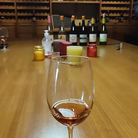 αρχοντικό ταξίμι - ανθέων έμπνευση 4* Argalastí
